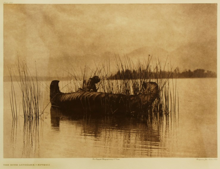 EdwardCurtis-Art-TheRushGatherer