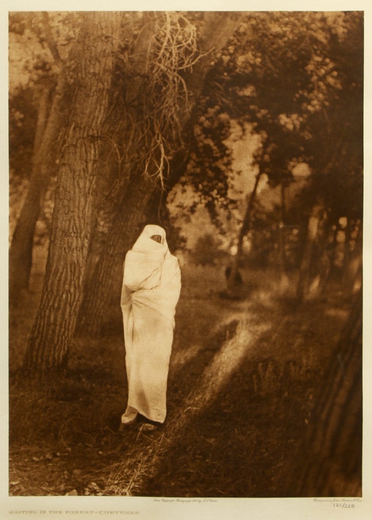 Edward S Curtis- Waiting the Forest-Cheyenne Photogravure- Matthews Gallery Blog